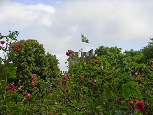 Visby - Stadt der Rosen und Ruinen